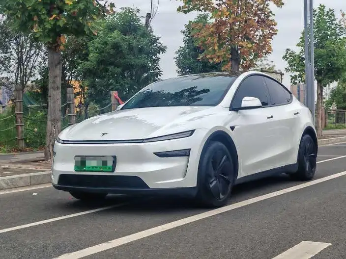 Model Y 2025 Model Rear-wheel drive version – фото 1
