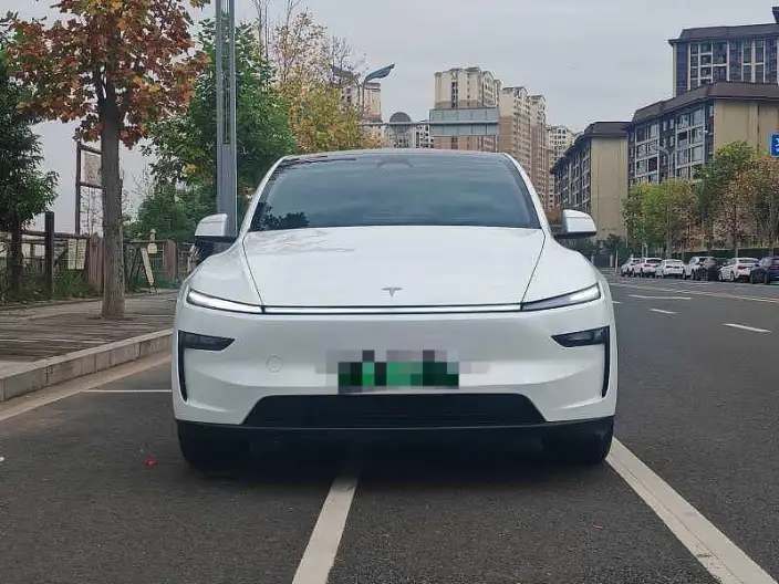 Model Y 2025 Model Rear-wheel drive version – фото 2