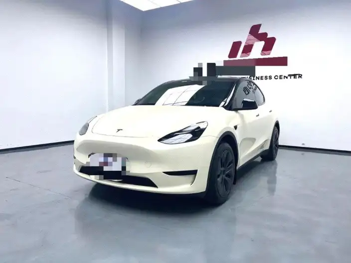 Model Y 2024 Model Rear-wheel drive version – фото 1