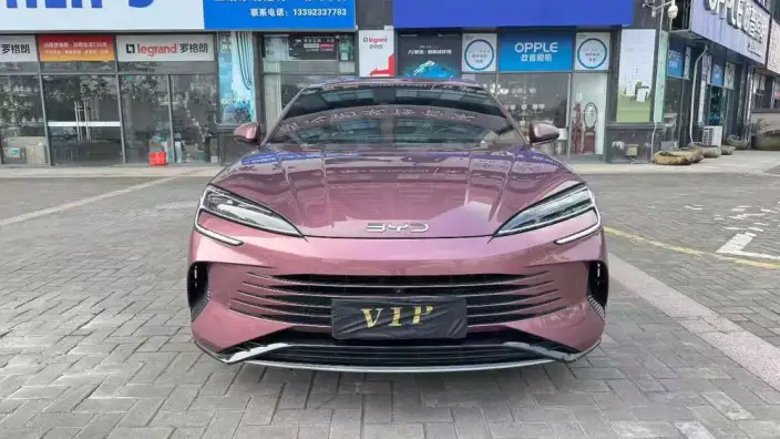 BYD Seal DM 2023 Model DM-i 1.5L 121KM Elite Model – фото 2