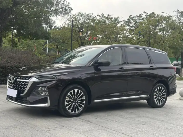 Wuling Victory 2023 Model 2.0L DHT Zhen Xiang Model – фото 1