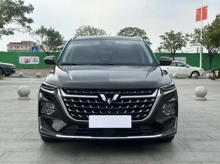 Wuling Victory 2023 Model 2.0L DHT Zhen Xiang Model – фото 2