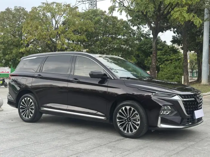 Wuling Victory 2023 Model 2.0L DHT Zhen Xiang Model – фото 3