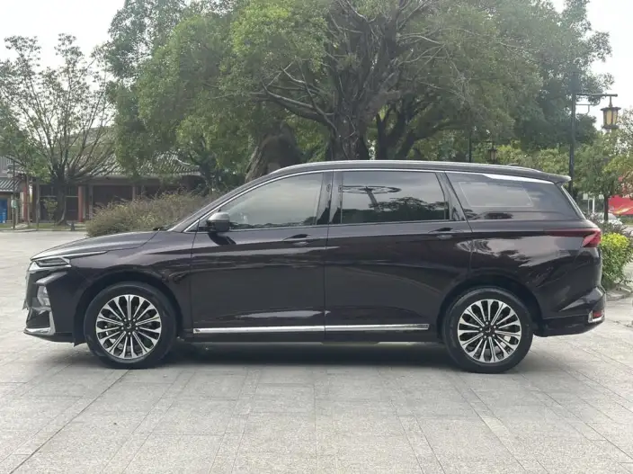 Wuling Victory 2023 Model 2.0L DHT Zhen Xiang Model – фото 4