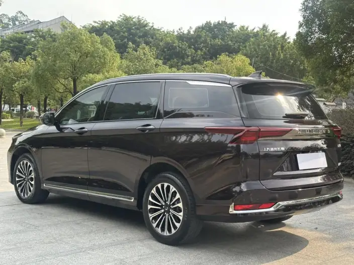 Wuling Victory 2023 Model 2.0L DHT Zhen Xiang Model – фото 5