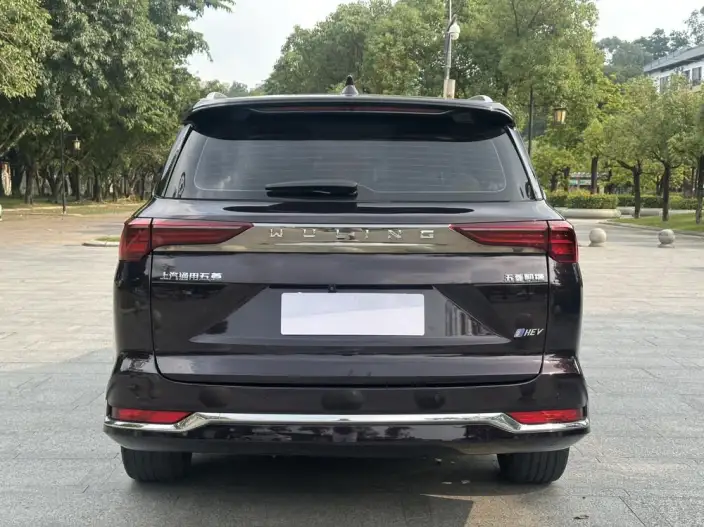 Wuling Victory 2023 Model 2.0L DHT Zhen Xiang Model – фото 6