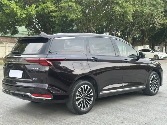 Wuling Victory 2023 Model 2.0L DHT Zhen Xiang Model – фото 7