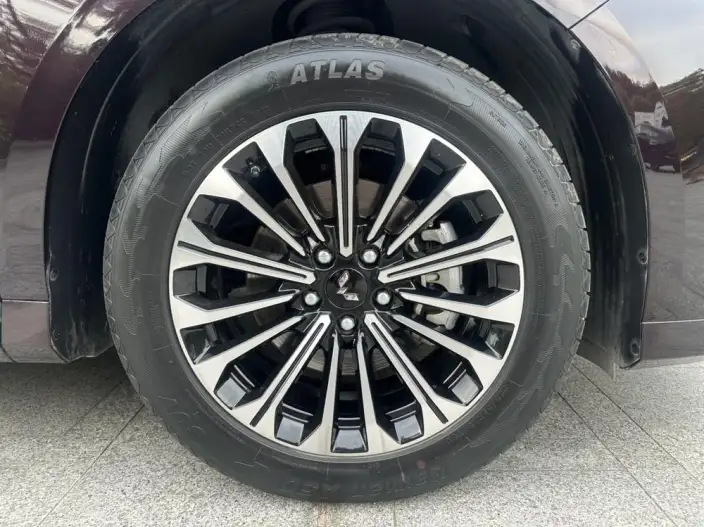 Wuling Victory 2023 Model 2.0L DHT Zhen Xiang Model – фото 8