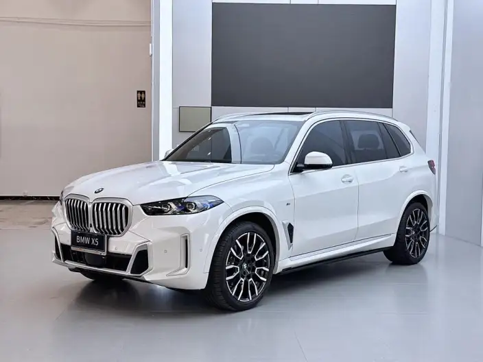 BMW X5 2023 Model xDrive40Li M Sports Set – фото 1