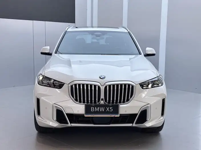 BMW X5 2023 Model xDrive40Li M Sports Set – фото 2