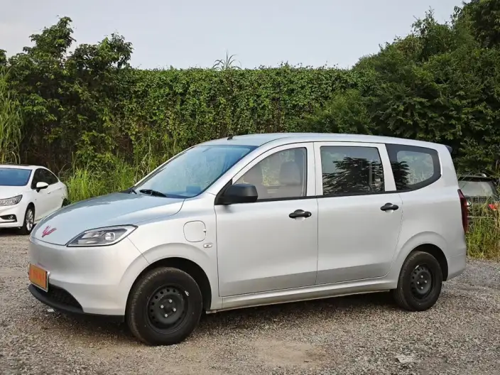 Wuling Hongguang EV Edition 2026 Model 300KM Standard Model