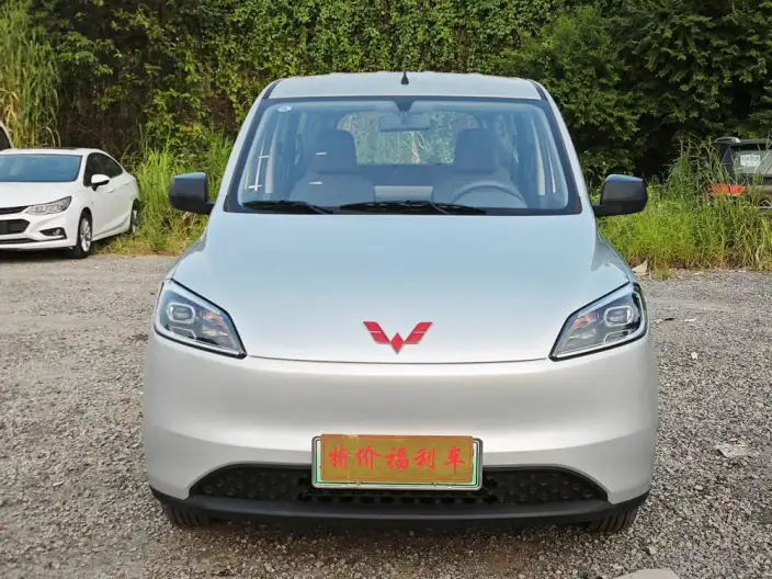 Wuling Hongguang EV Edition 2026 Model 300KM Standard Model