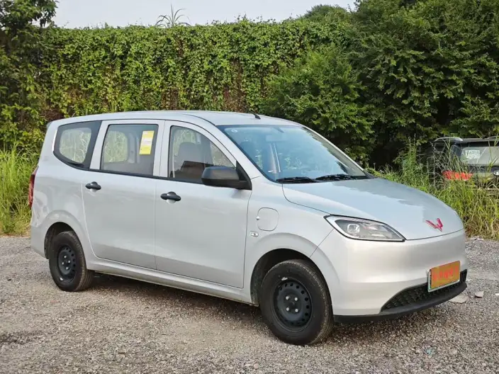 Wuling Hongguang EV Edition 2026 Model 300KM Standard Model