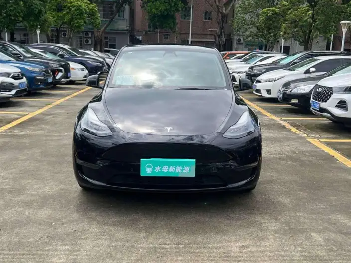 Model Y 2022 Model Long Battery Life Pro All-wheel drive version – фото 2