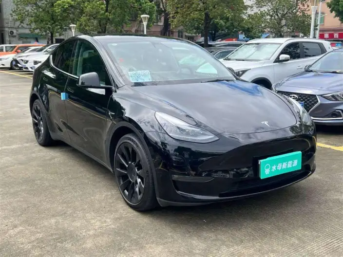 Model Y 2022 Model Long Battery Life Pro All-wheel drive version – фото 3