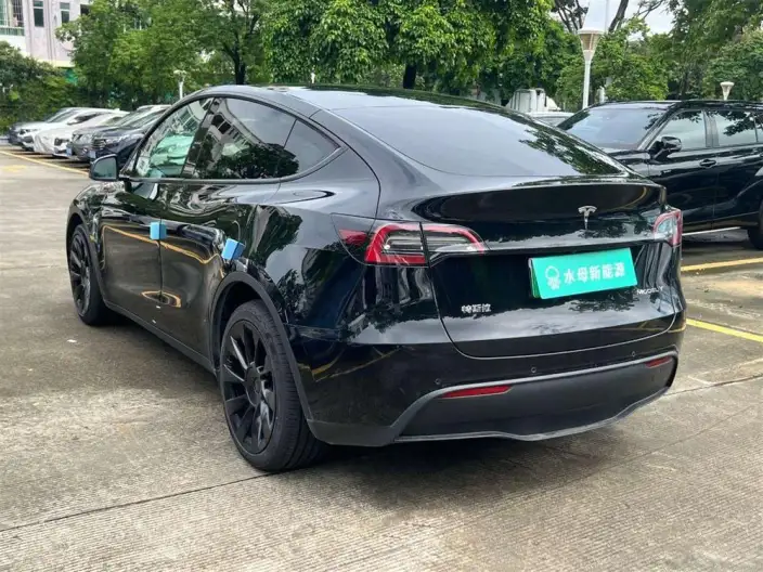 Model Y 2022 Model Long Battery Life Pro All-wheel drive version – фото 4
