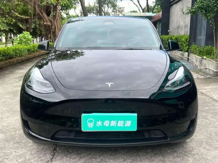 Model Y 2022 Model Rear-wheel drive version – фото 2