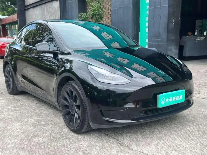 Model Y 2022 Model Rear-wheel drive version – фото 3