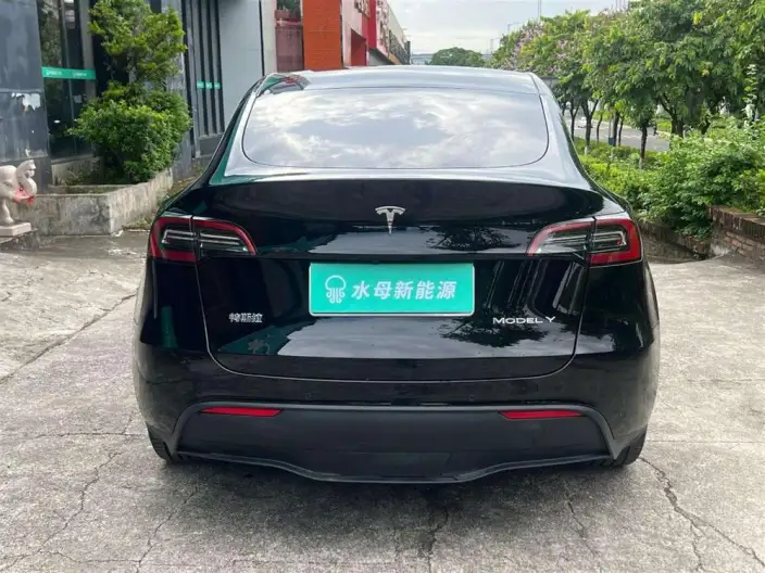 Model Y 2022 Model Rear-wheel drive version – фото 6