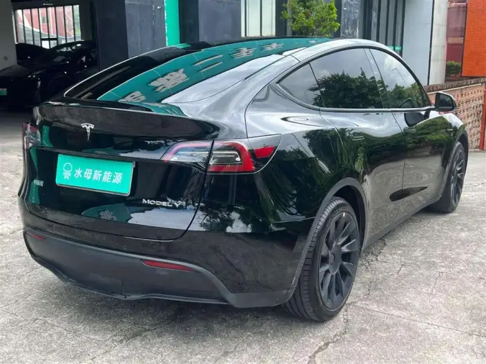 Model Y 2022 Model Rear-wheel drive version – фото 7