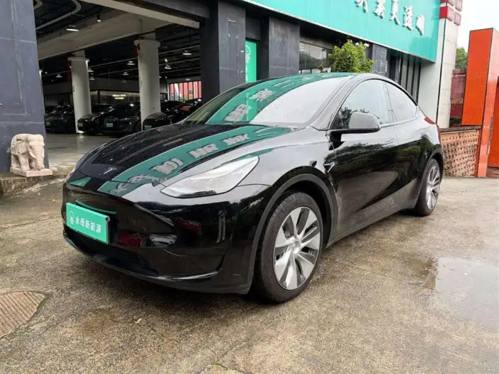 Model Y 2022 Model Rear-wheel drive version – фото 1