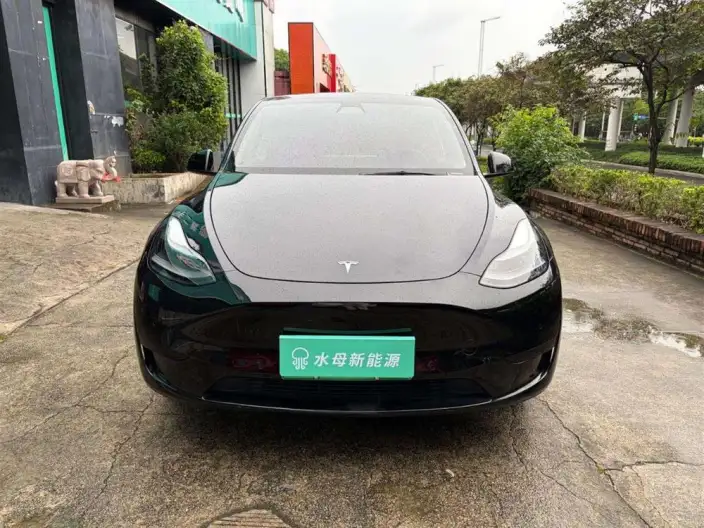 Model Y 2022 Model Rear-wheel drive version – фото 2