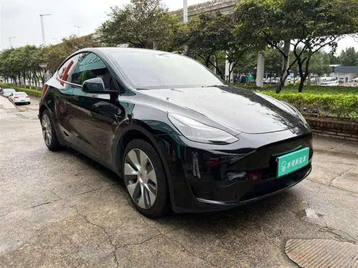 Model Y 2022 Model Rear-wheel drive version – фото 3