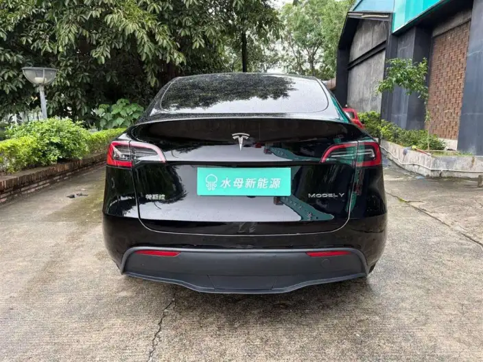 Model Y 2022 Model Rear-wheel drive version – фото 6