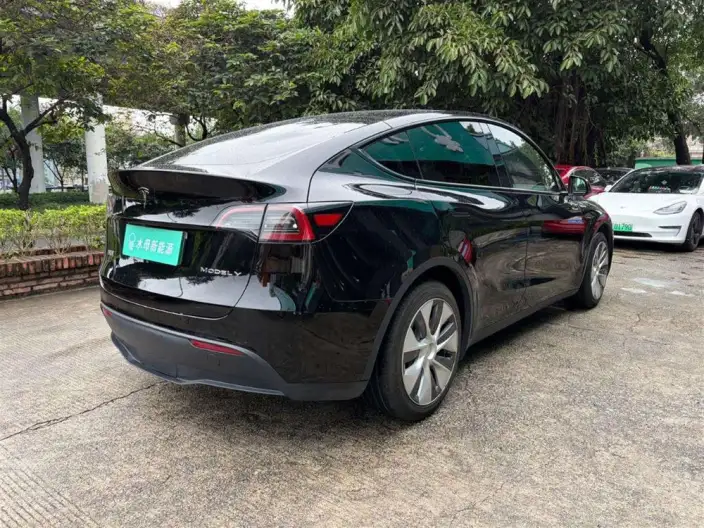 Model Y 2022 Model Rear-wheel drive version – фото 7
