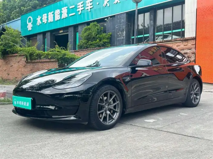 Model 3 2022 Model Rear-wheel drive version – фото 1