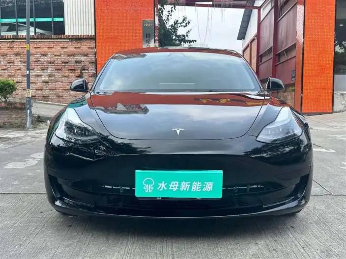 Model 3 2022 Model Rear-wheel drive version – фото 2