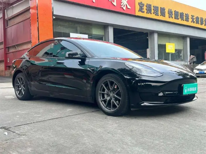 Model 3 2022 Model Rear-wheel drive version – фото 3