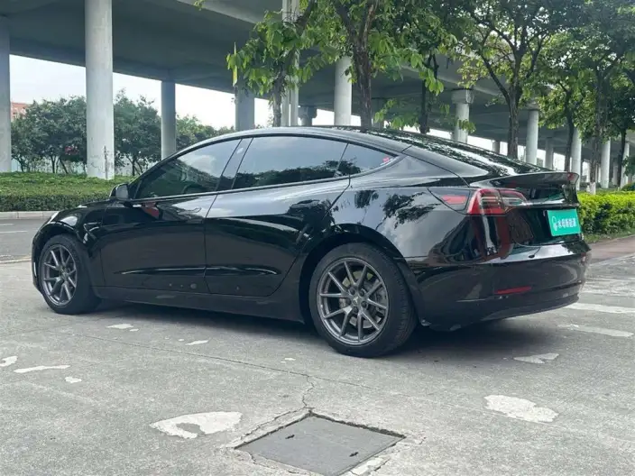 Model 3 2022 Model Rear-wheel drive version – фото 5