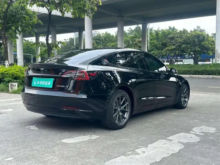 Model 3 2022 Model Rear-wheel drive version – фото 7