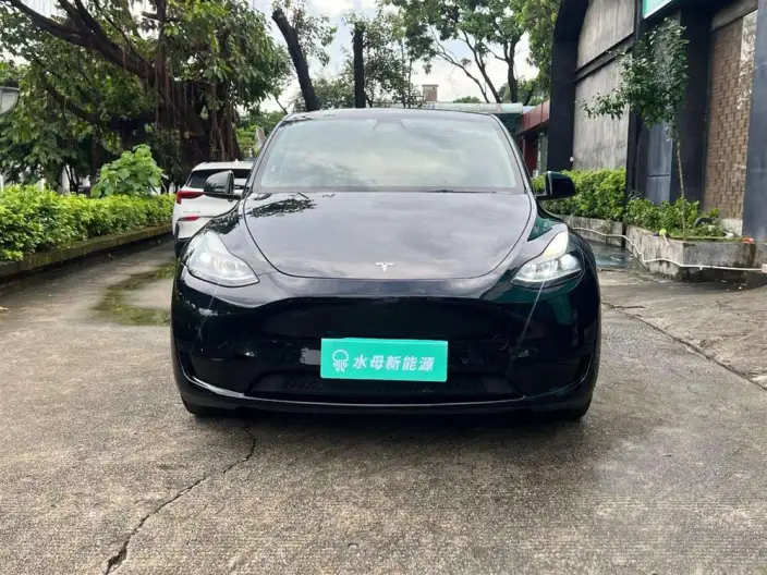 Model Y 2022 Model Rear-wheel drive version – фото 2