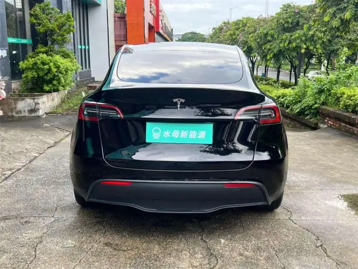 Model Y 2022 Model Rear-wheel drive version – фото 6