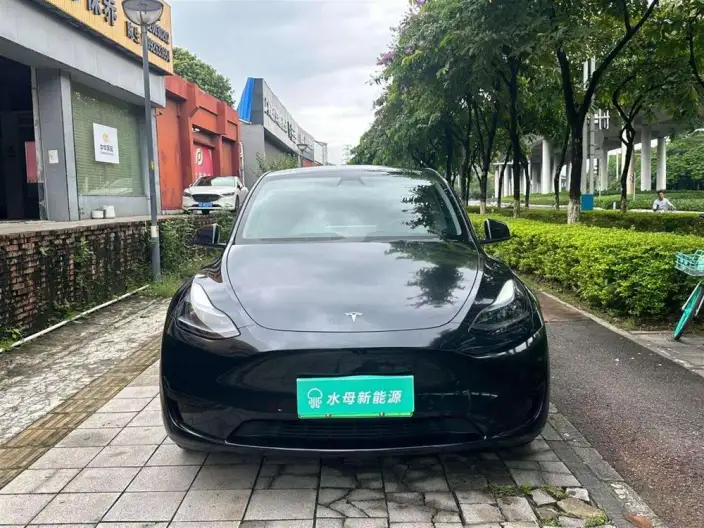 Model Y 2022 Model Facelift Rear-wheel drive version – фото 2