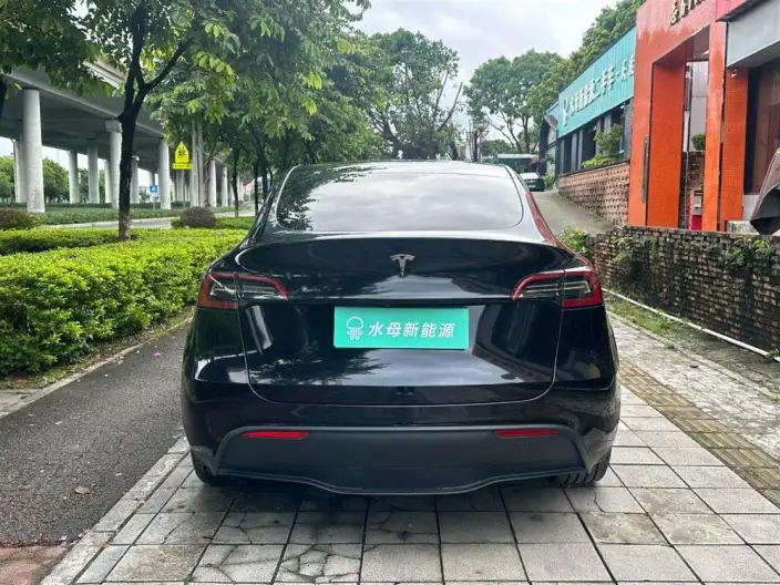 Model Y 2022 Model Facelift Rear-wheel drive version – фото 6