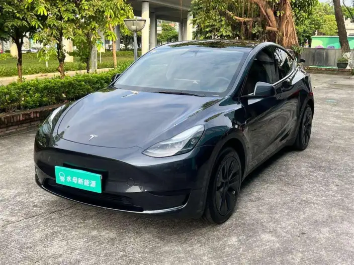 Model Y 2024 Model Rear-wheel drive version – фото 1