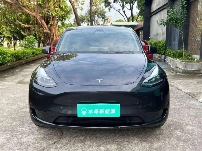 Model Y 2024 Model Rear-wheel drive version – фото 2