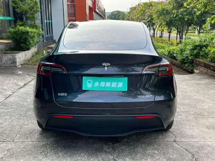 Model Y 2024 Model Rear-wheel drive version – фото 6