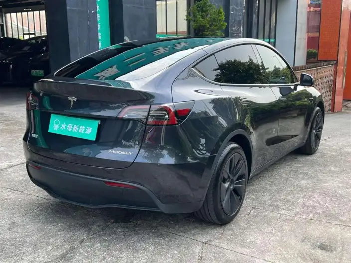 Model Y 2024 Model Rear-wheel drive version – фото 7