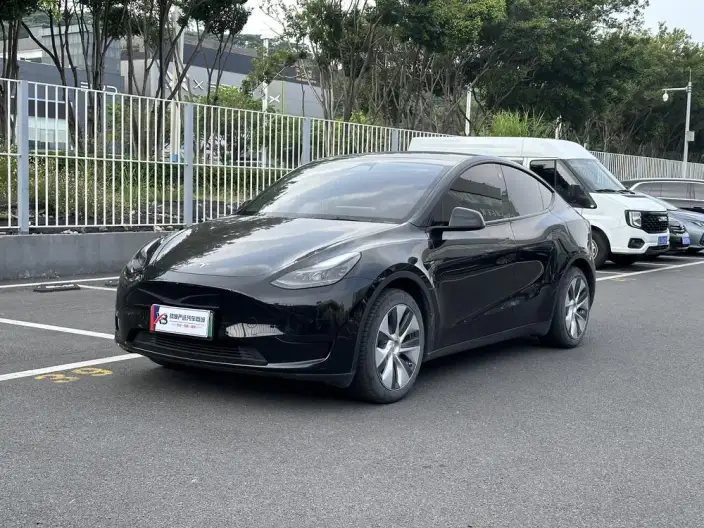Model Y 2022 Model Rear-wheel drive version – фото 1