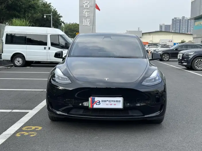 Model Y 2022 Model Rear-wheel drive version – фото 2
