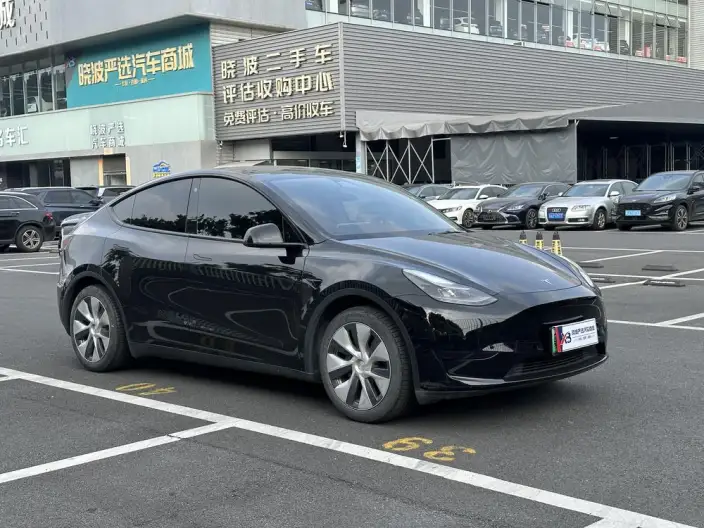 Model Y 2022 Model Rear-wheel drive version – фото 3