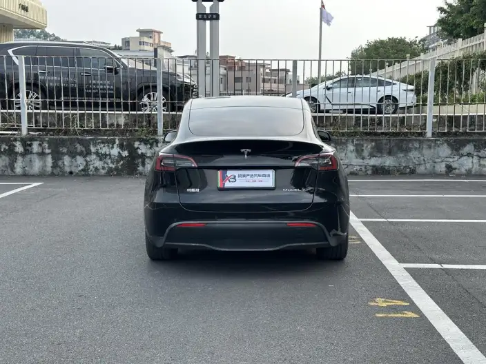 Model Y 2022 Model Rear-wheel drive version – фото 5
