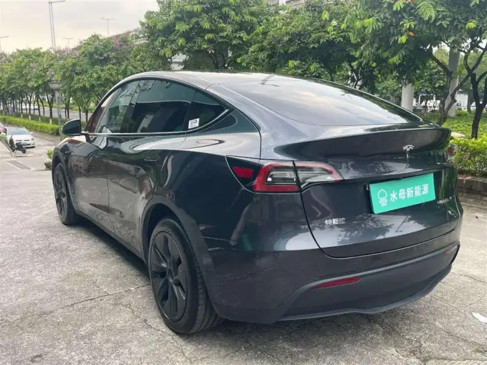 Model Y 2024 Model Long Battery Life Pro All-wheel drive version – фото 5
