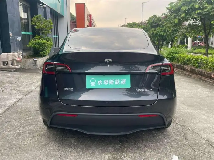 Model Y 2024 Model Long Battery Life Pro All-wheel drive version – фото 6