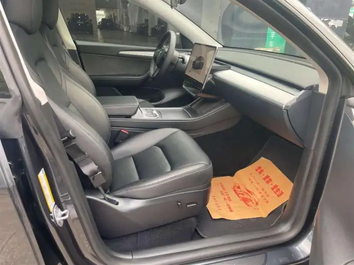 Model Y 2024 Model Long Battery Life Pro All-wheel drive version – фото 10