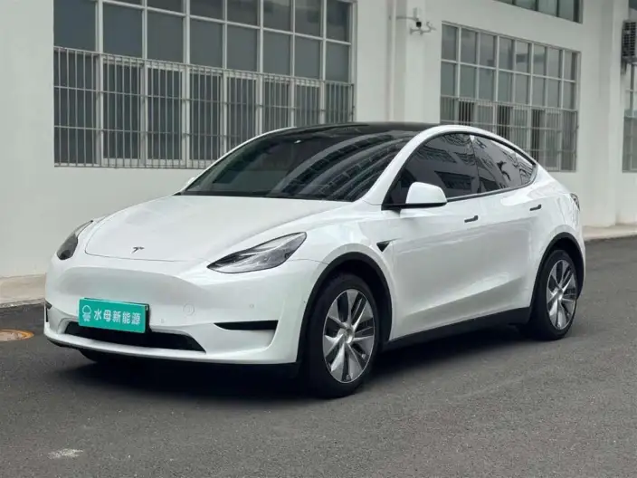 Model Y 2022 Model Rear-wheel drive version – фото 1
